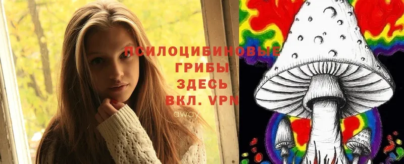 Галлюциногенные грибы Cubensis  Трубчевск 