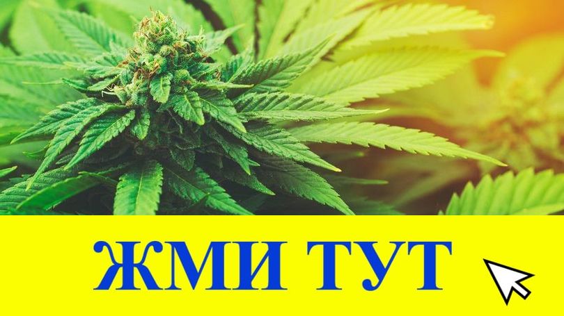 Купить наркотики в Трубчевске